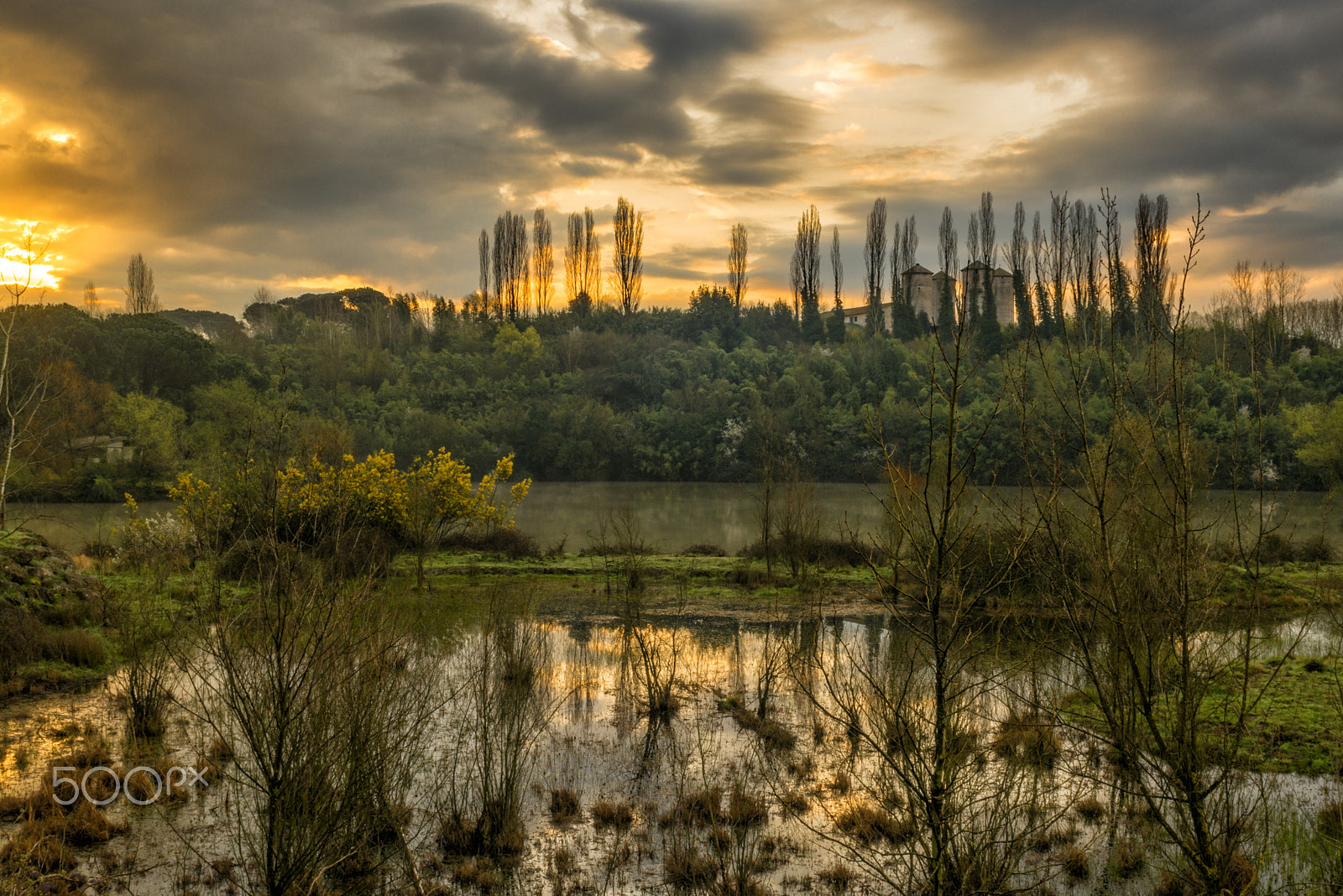 Nikon D810 + Sigma 24-70mm F2.8 EX DG Macro sample photo. Sunrise photography