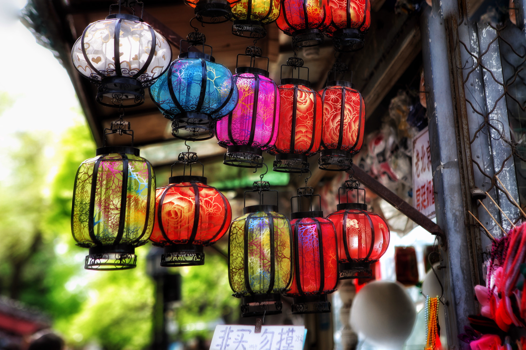 Canon EF 24-70mm F2.8L USM sample photo. Bright-coloured photography