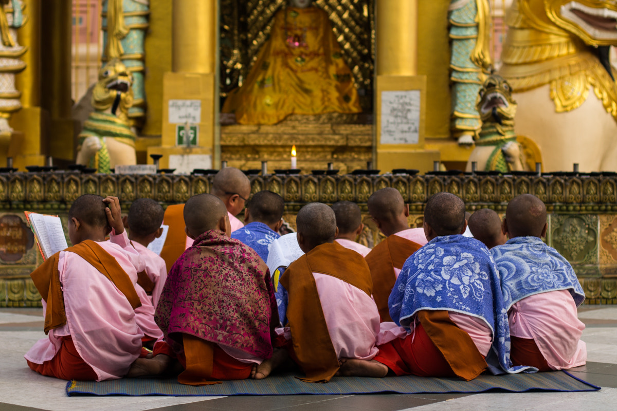 Canon EOS 1100D (EOS Rebel T3 / EOS Kiss X50) + Canon EF 50mm F1.4 USM sample photo. Shwedagon pagoda, yangon photography