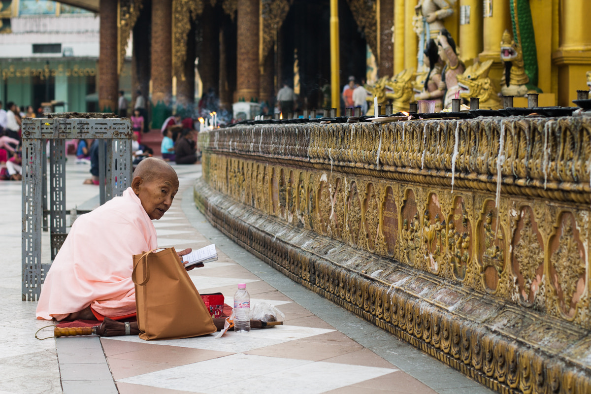 Canon EOS 1100D (EOS Rebel T3 / EOS Kiss X50) + Canon EF 50mm F1.4 USM sample photo. Shwedagon pagoda, yangon photography