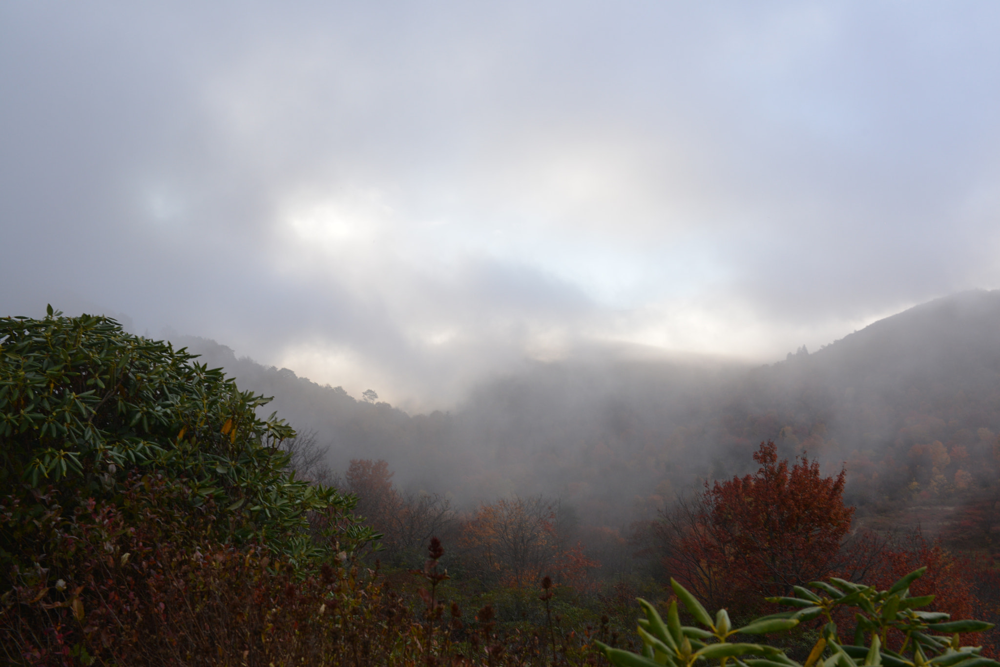 Nikon D600 + AF-S Nikkor 35mm f/1.8G sample photo. Smoky_mountains.jpg photography