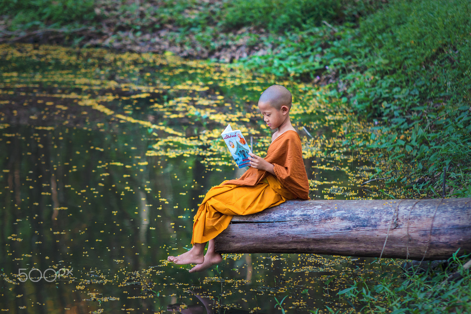 Sigma 70-200mm F2.8 EX DG OS HSM sample photo. Novice reading a book. photography