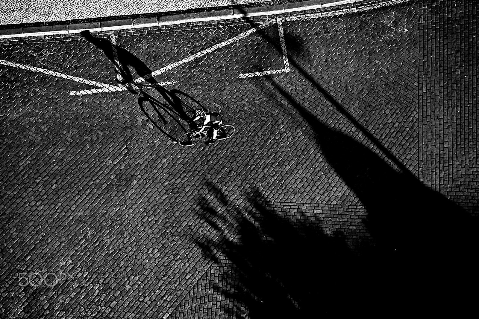 Canon EOS 500D (EOS Rebel T1i / EOS Kiss X3) sample photo. The cyclist. photography