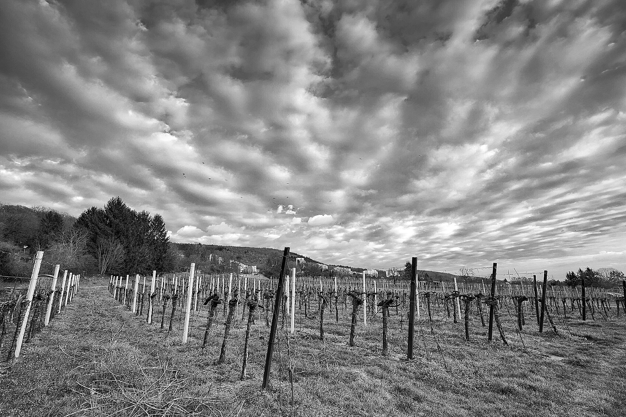Canon EOS M2 sample photo. Das ist ein bauernhof auf dem berg in emmertsgrund photography