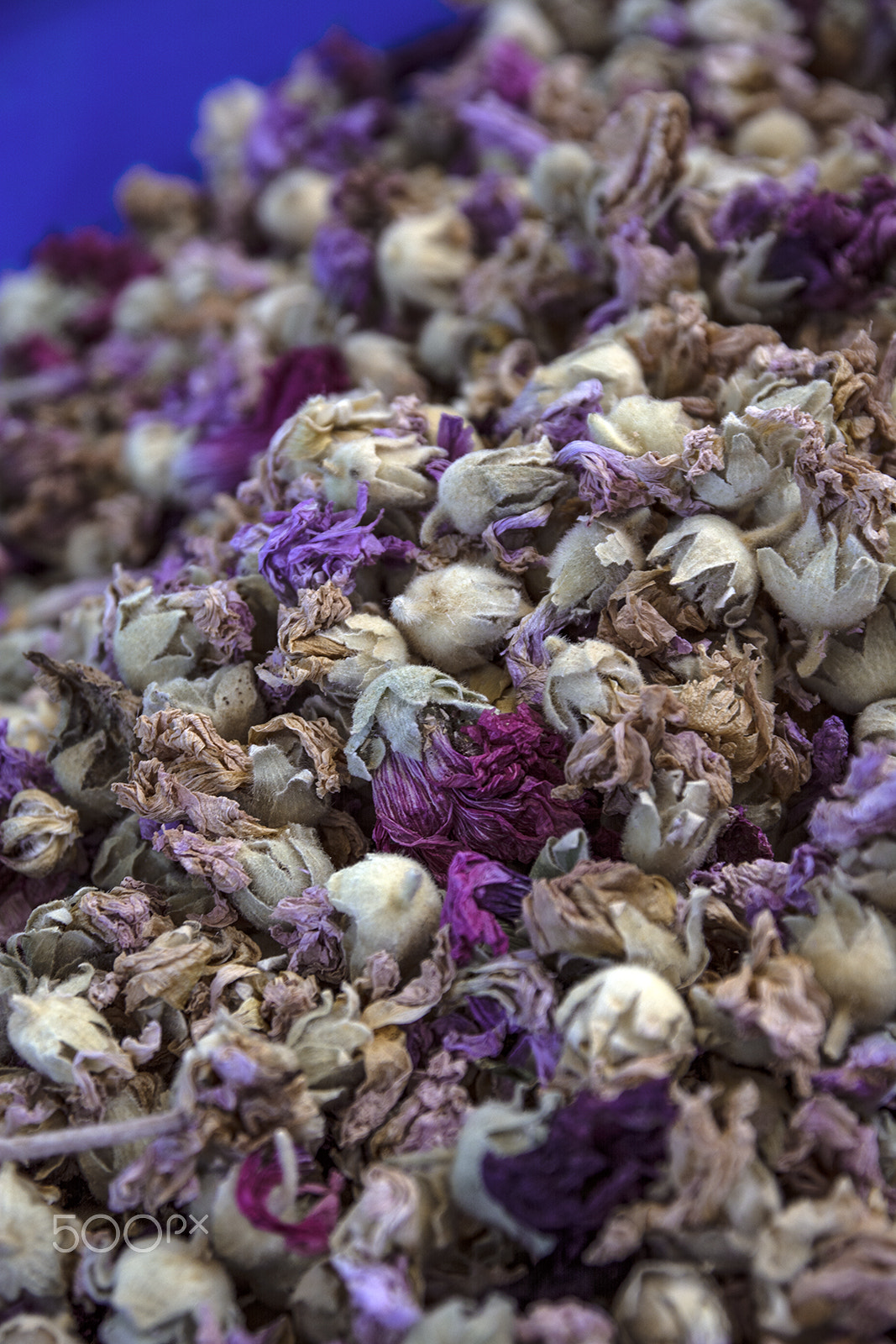 Sigma 17-70mm F2.8-4 DC Macro OS HSM | C sample photo. Dried flowers.. photography