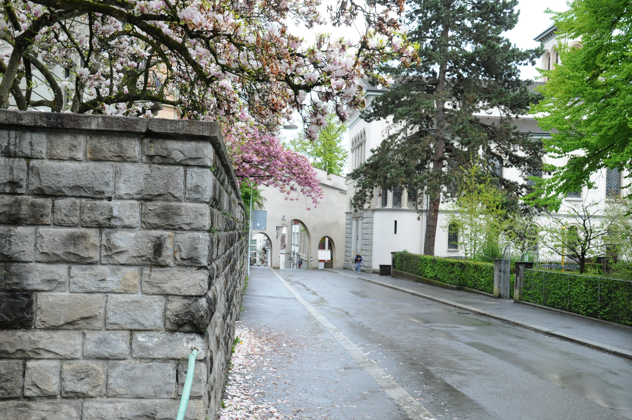 Nikon D300S sample photo. Lucerne - switzerland photography