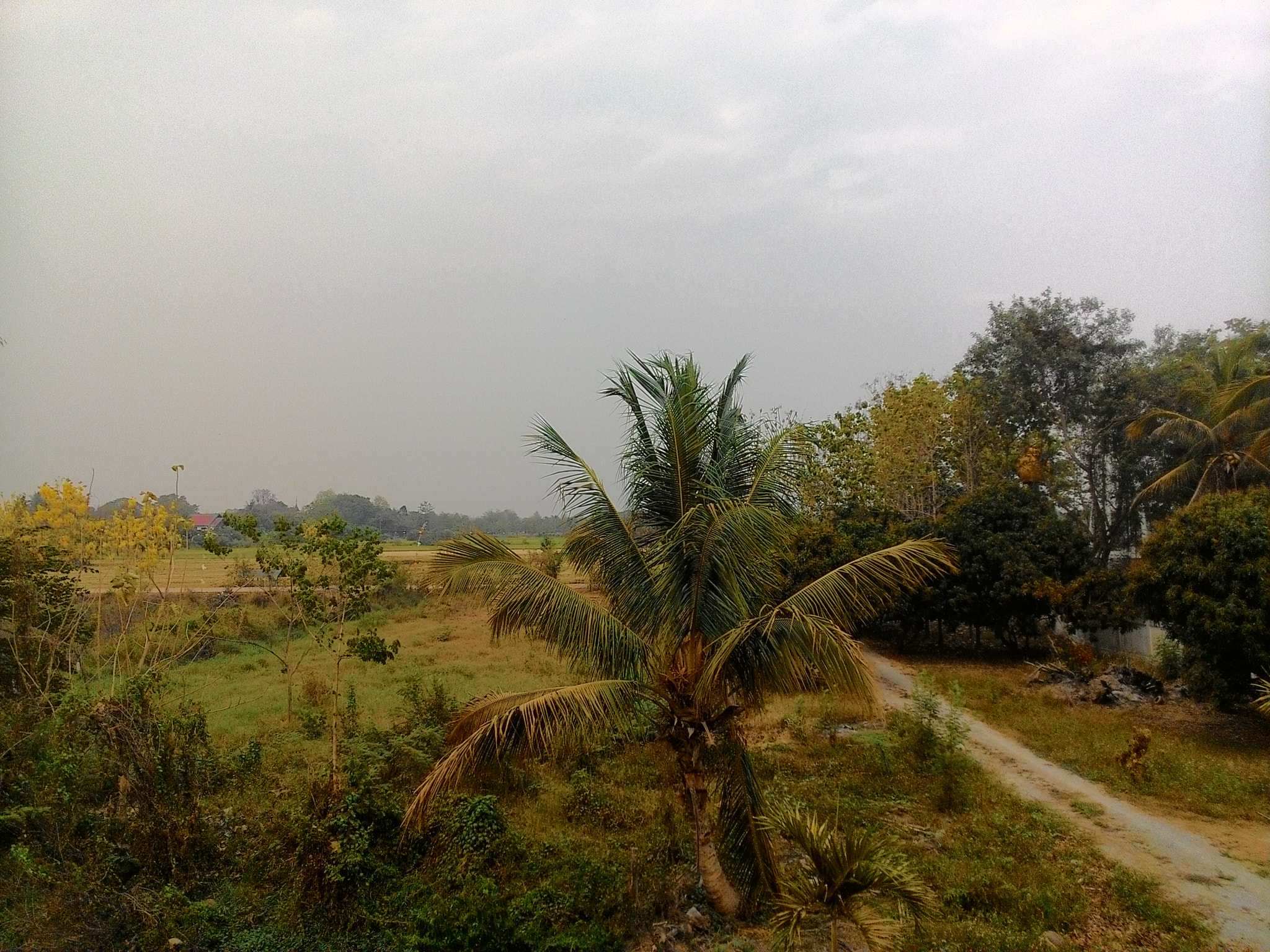 ASUS ZenFone 4 (A450CG) sample photo. .. photography