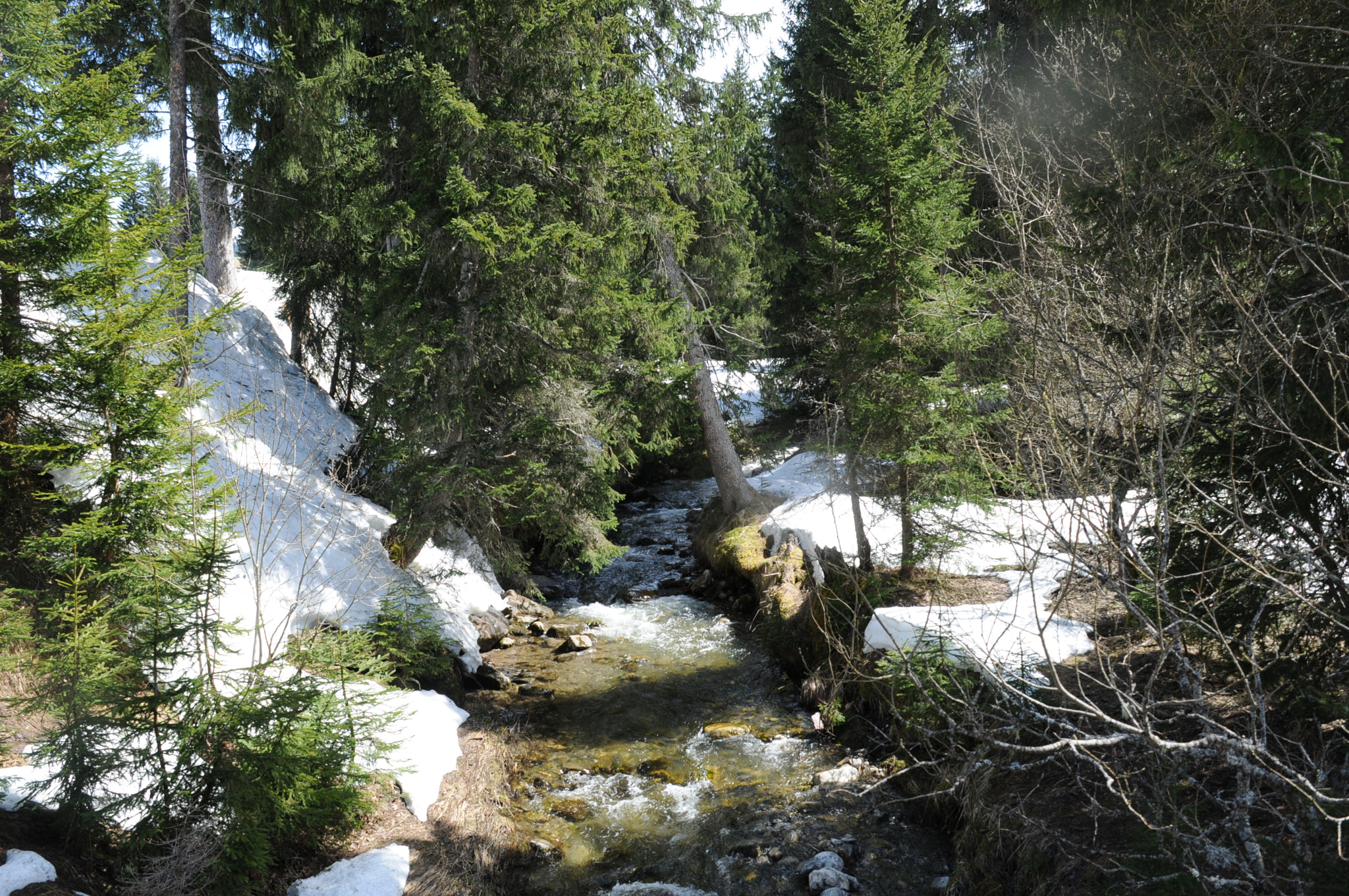 Nikon D300S sample photo. Chamonix - france photography