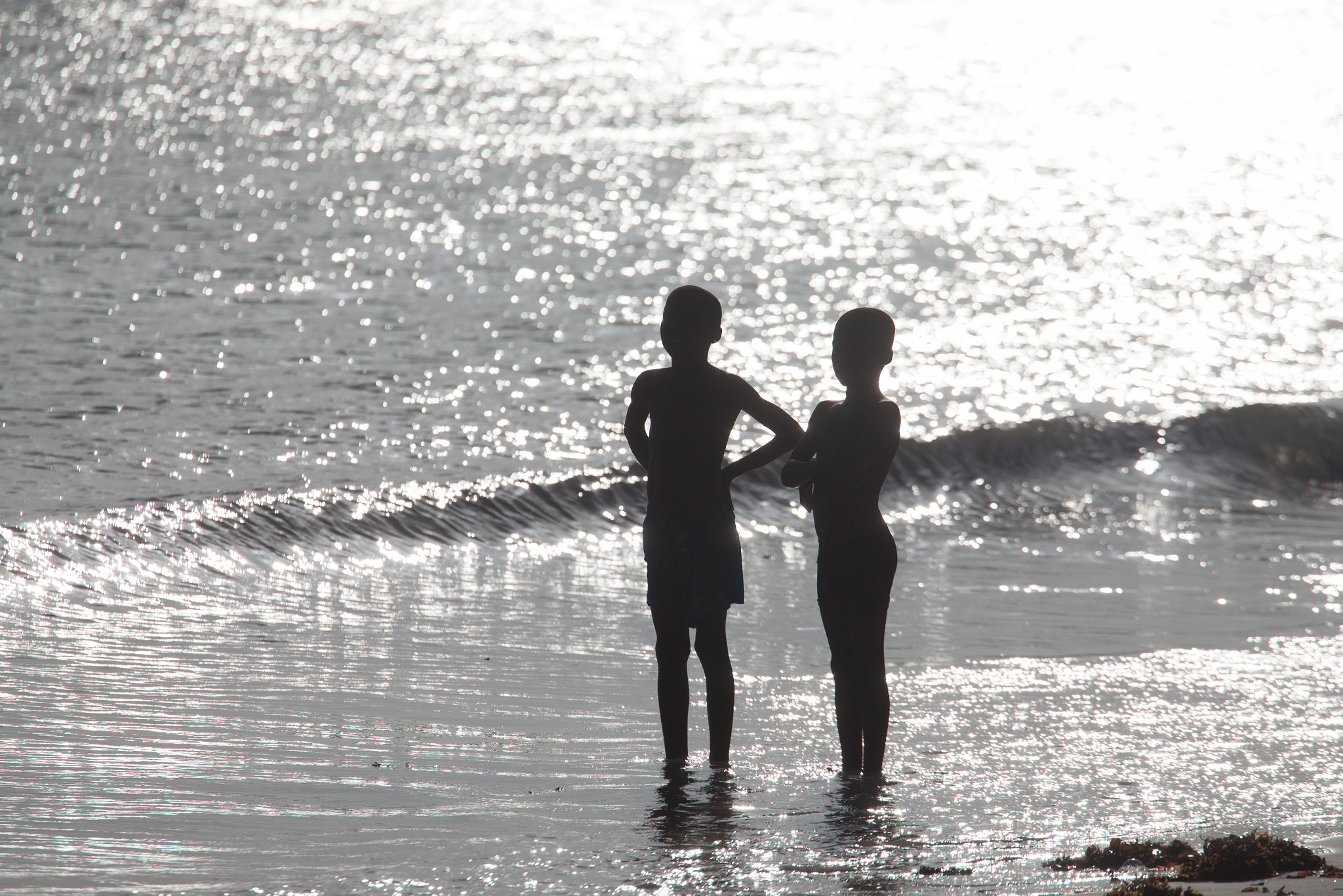Canon EF 70-200mm F4L USM sample photo. Watamu. photography