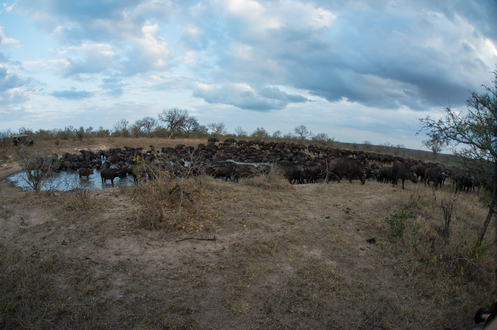 Nikon D800 + Sigma 15mm F2.8 EX DG Diagonal Fisheye sample photo. Sudafrica photography