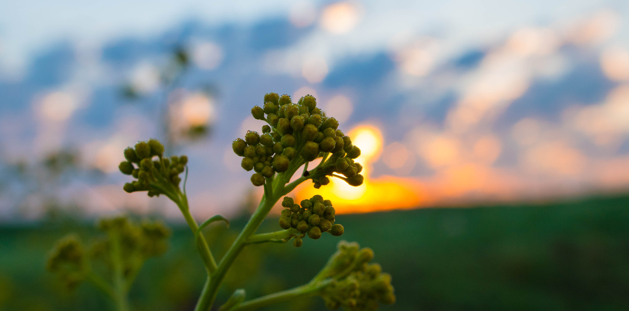 Nikon D5500 + Nikon AF-S Nikkor 20mm F1.8G ED sample photo. Sunrise march photography