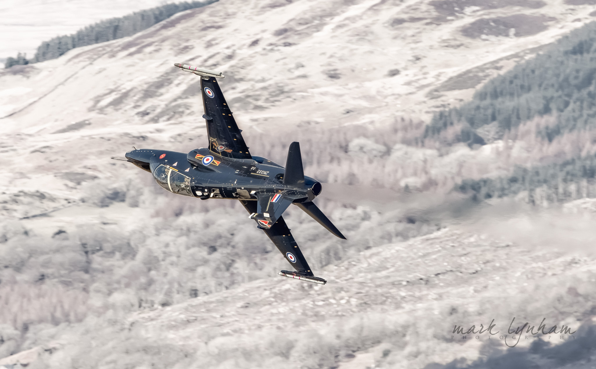 Canon EF 300mm F2.8L IS II USM sample photo. Hawk t2 photography