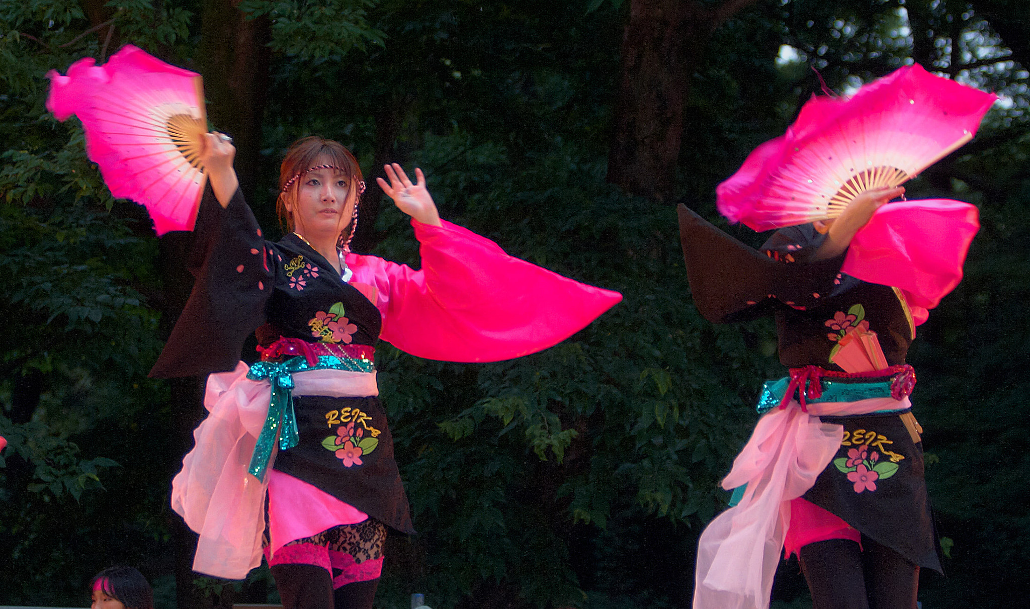 Canon EOS 30D sample photo. Fan of dance photography
