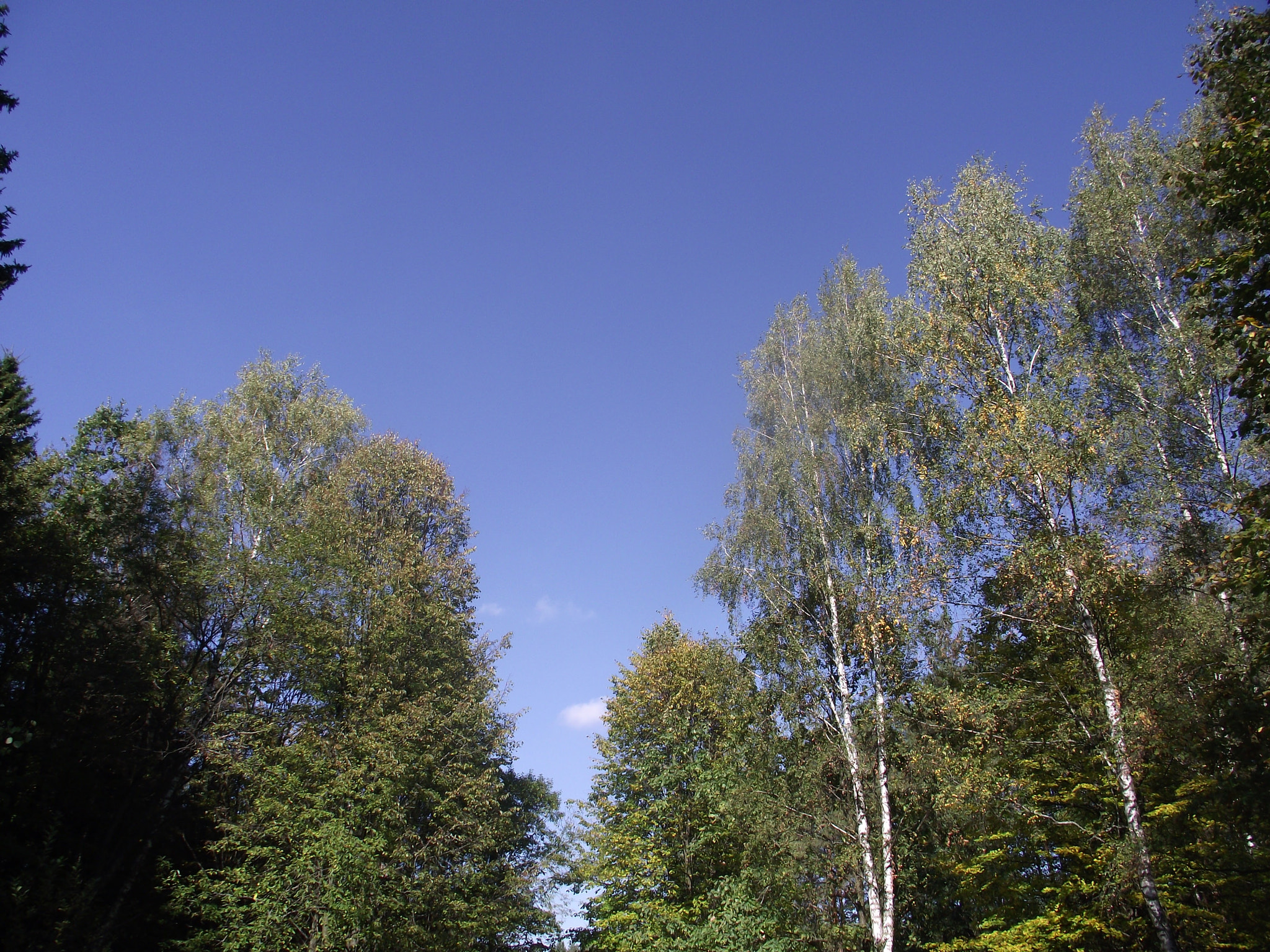 FujiFilm FinePix S2500HD (FinePix S2600HD) sample photo