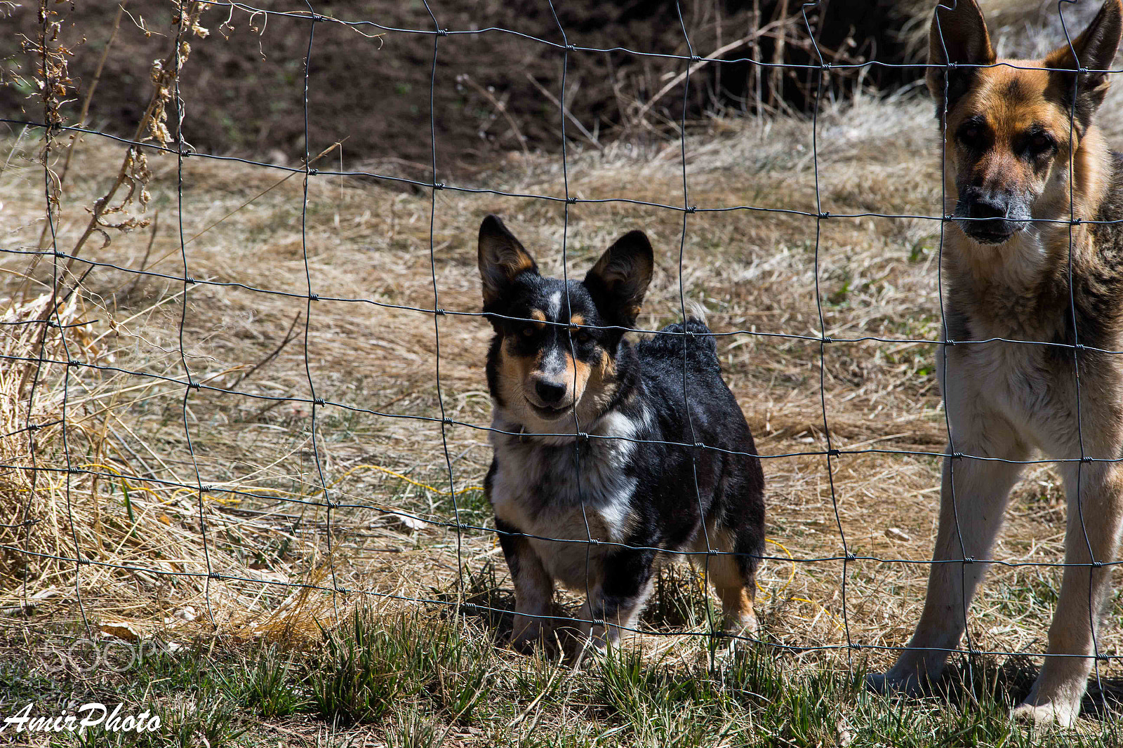 Canon EOS-1D X sample photo. Ai6p8245.jpg photography