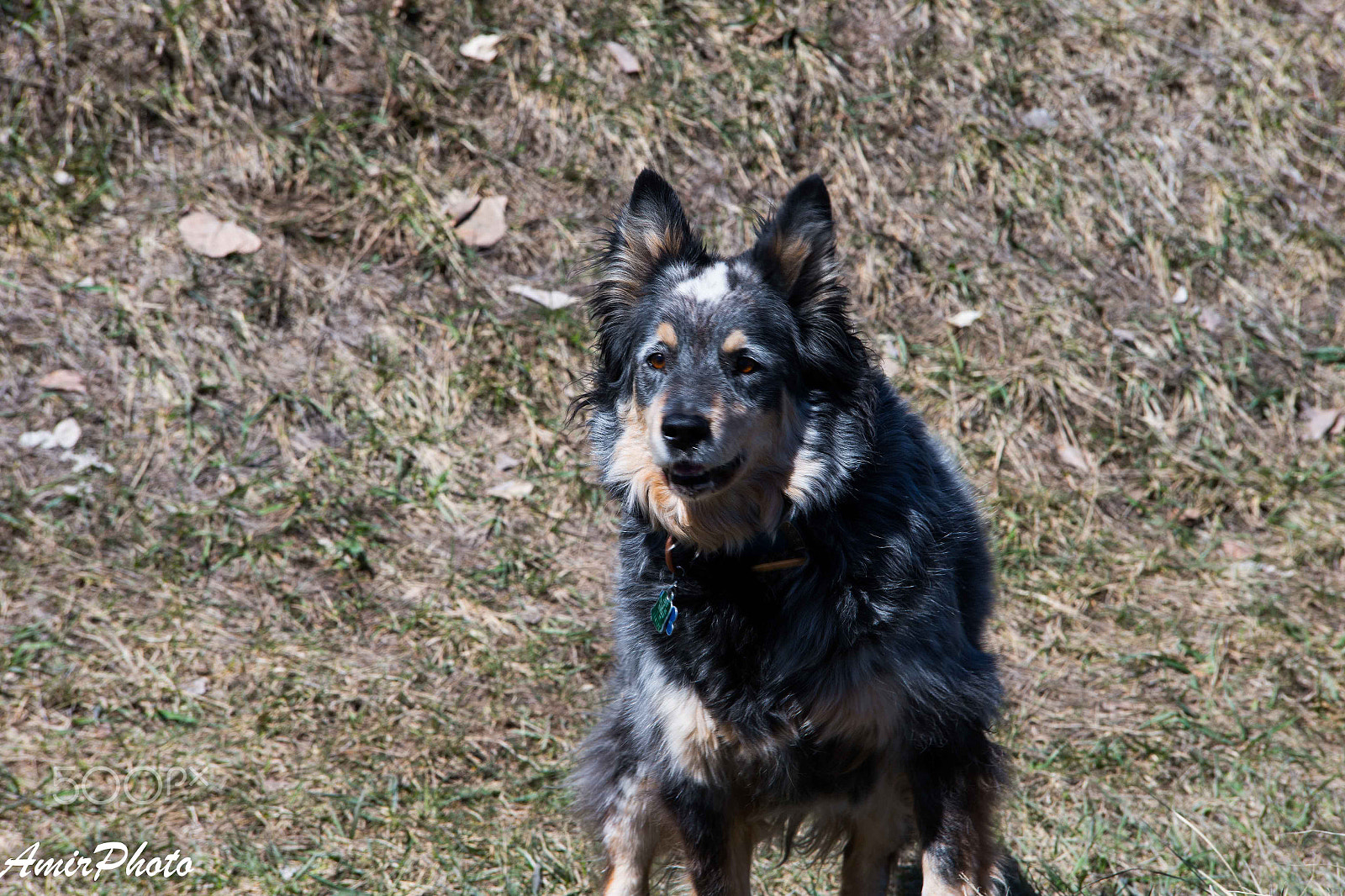 Canon EOS-1D X sample photo. Ai6p8360.jpg photography