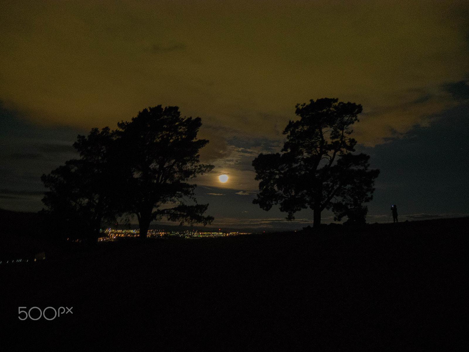 Panasonic DMC-GM1S sample photo. Photographer mitra photography
