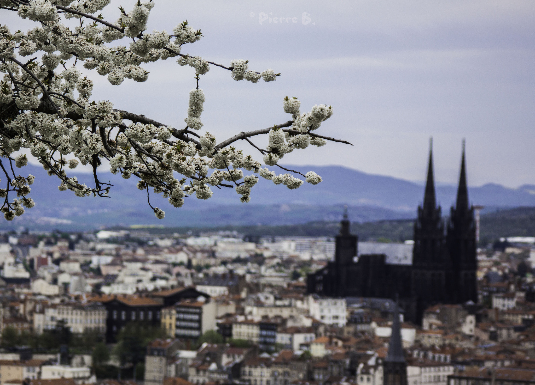 Canon EOS 50D + Canon EF 100-300mm f/5.6 sample photo. Spring bokeh photography