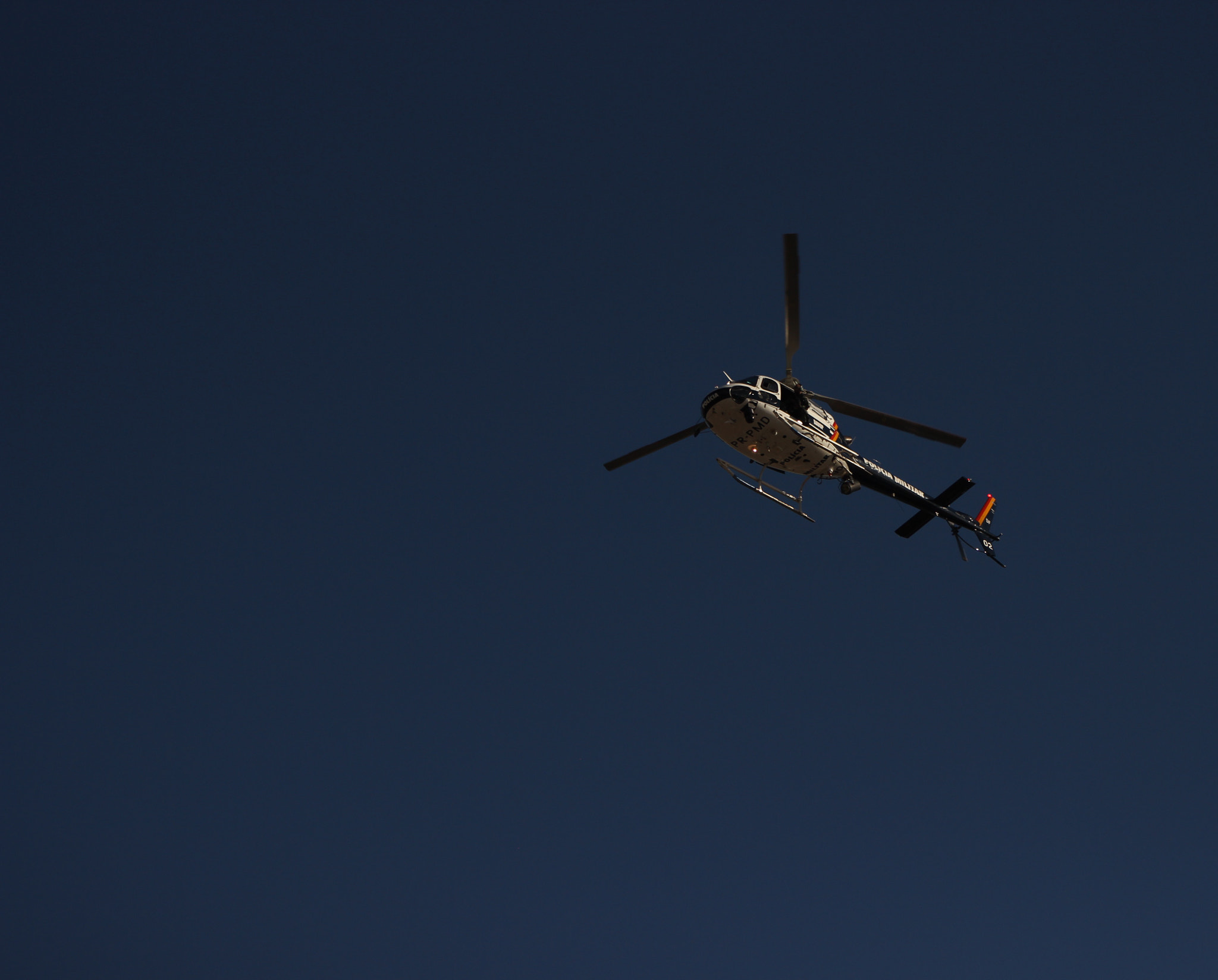 Canon EF75-300mm f/4-5.6 sample photo. A little police bird. photography