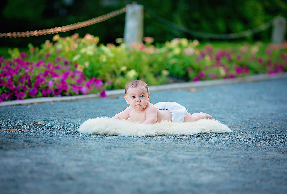 Canon EOS-1Ds Mark III + Canon EF 135mm F2L USM sample photo. Portbabyneweee photography