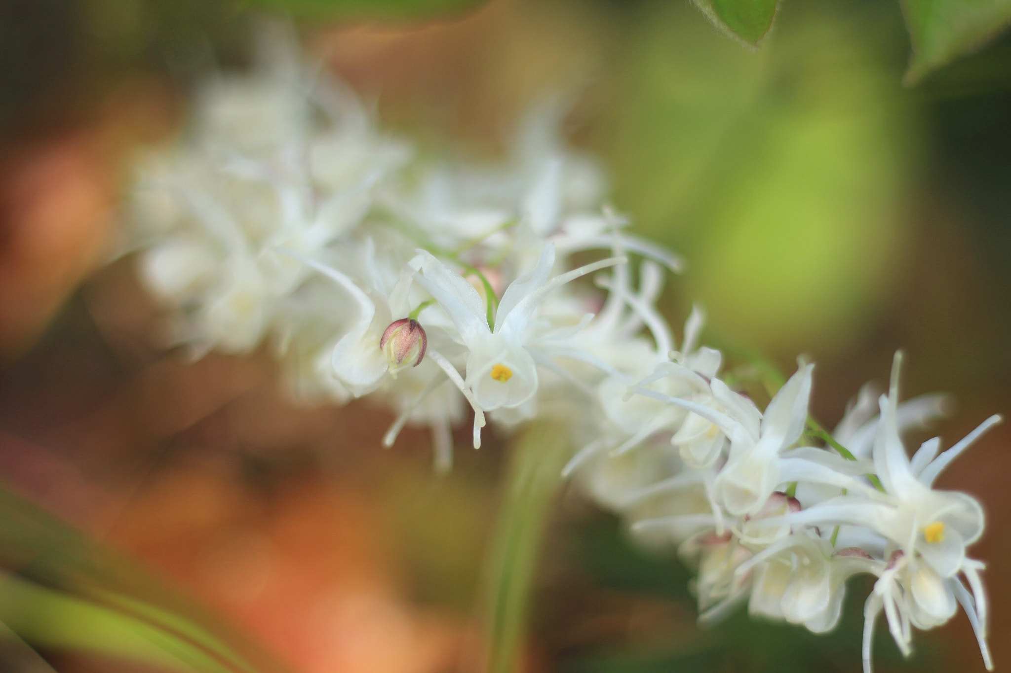Canon EOS M + Canon EF 50mm F1.8 STM sample photo