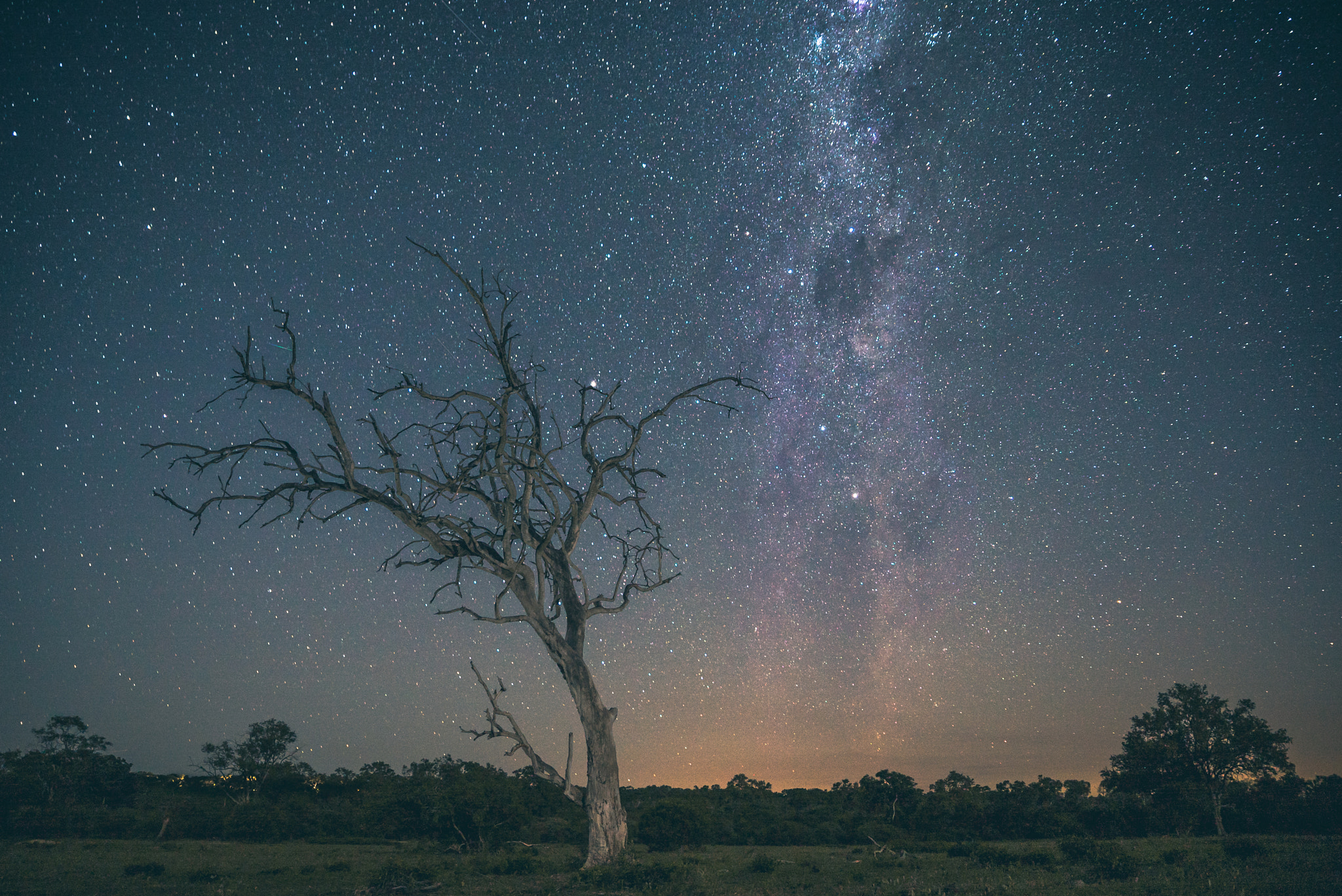 Sony a7S II + 24-70mm F2.8 G SSM OSS sample photo. Night sky at sabie sands game reserve photography