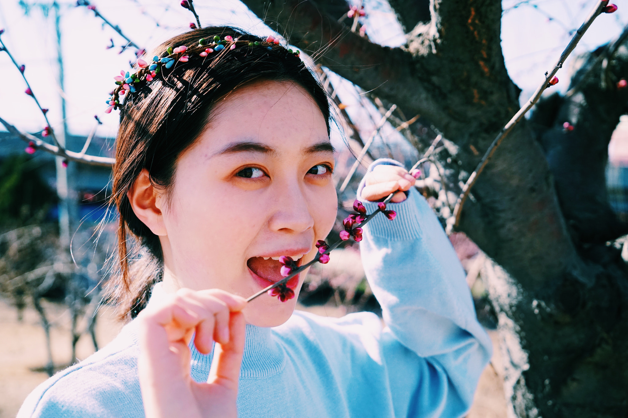 Sony Vario Tessar T* FE 24-70mm F4 ZA OSS sample photo. 春天 photography