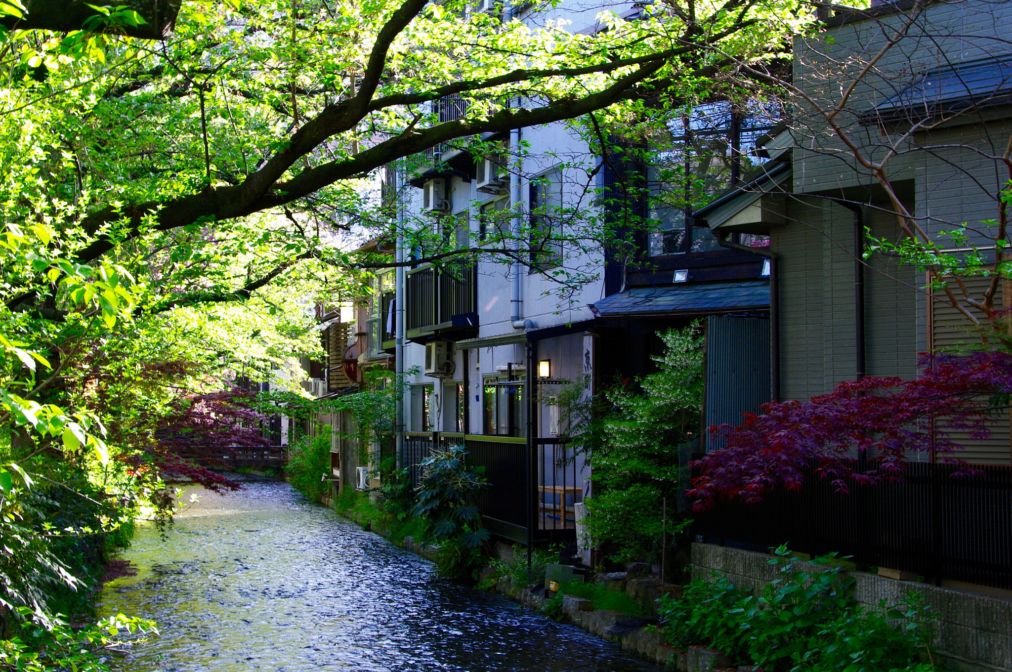 Pentax K20D sample photo. Bridge photography