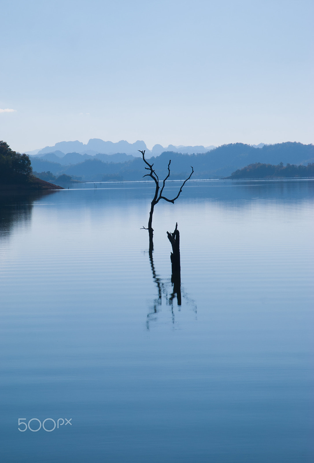 Nikon D60 sample photo. Dry trees in the lake photography