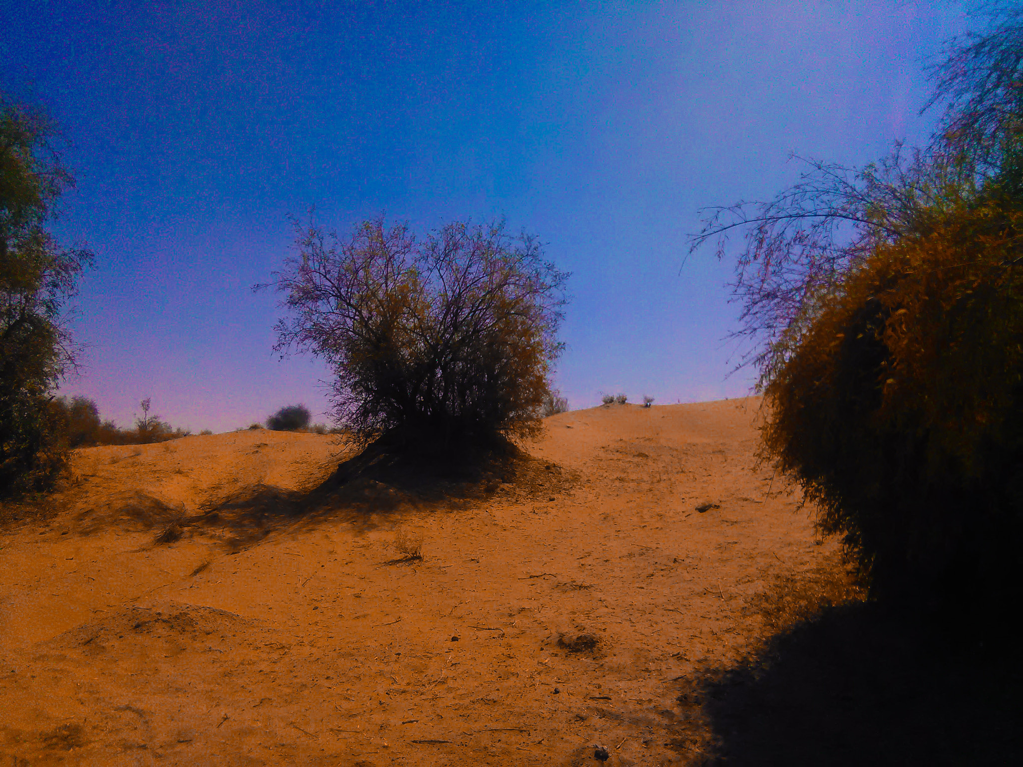 HUAWEI Y625-U32 sample photo. Beautiful desert photography