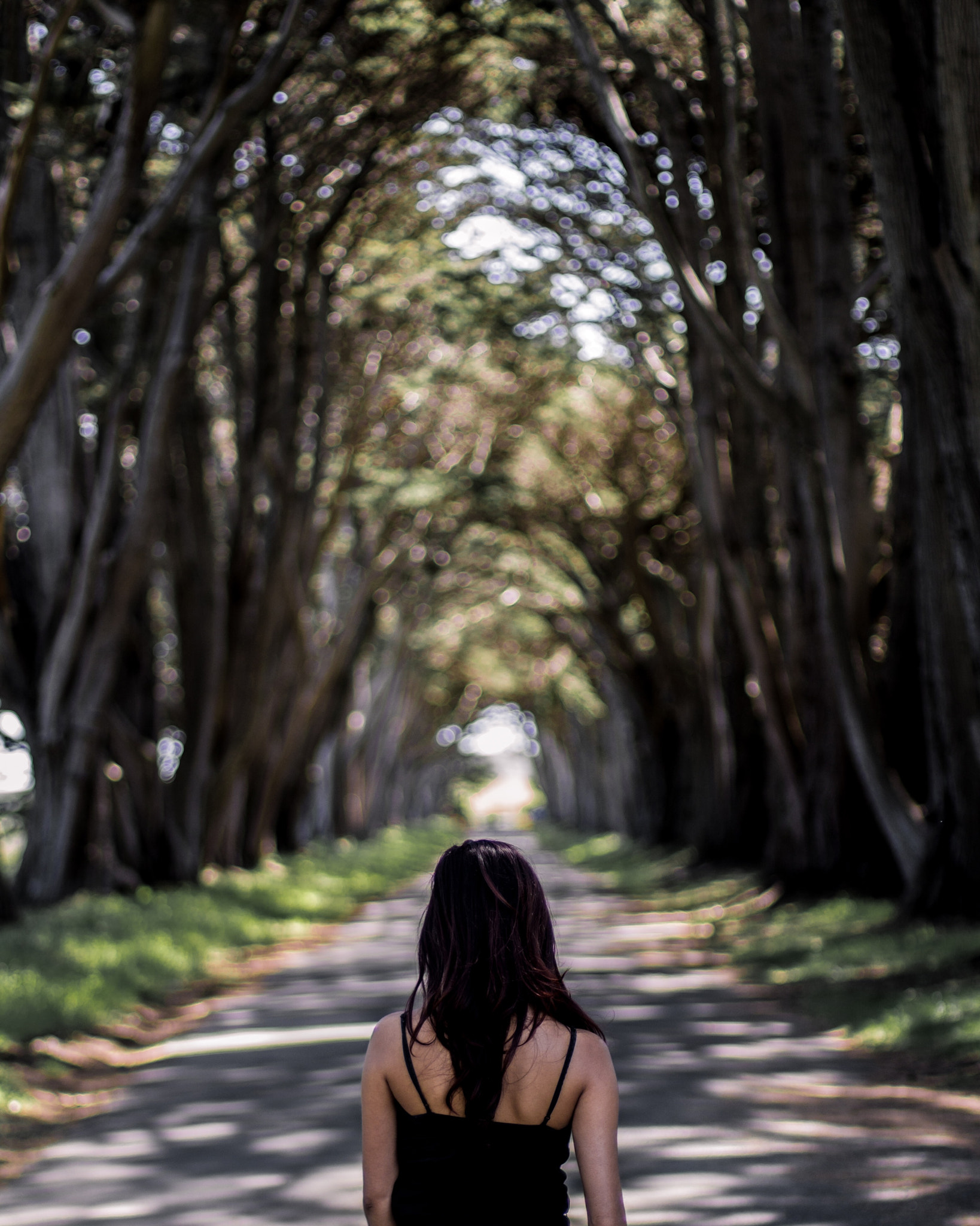 Canon EOS 700D (EOS Rebel T5i / EOS Kiss X7i) + Canon EF 50mm F1.4 USM sample photo. Tunnel vision - point reyes, ca photography