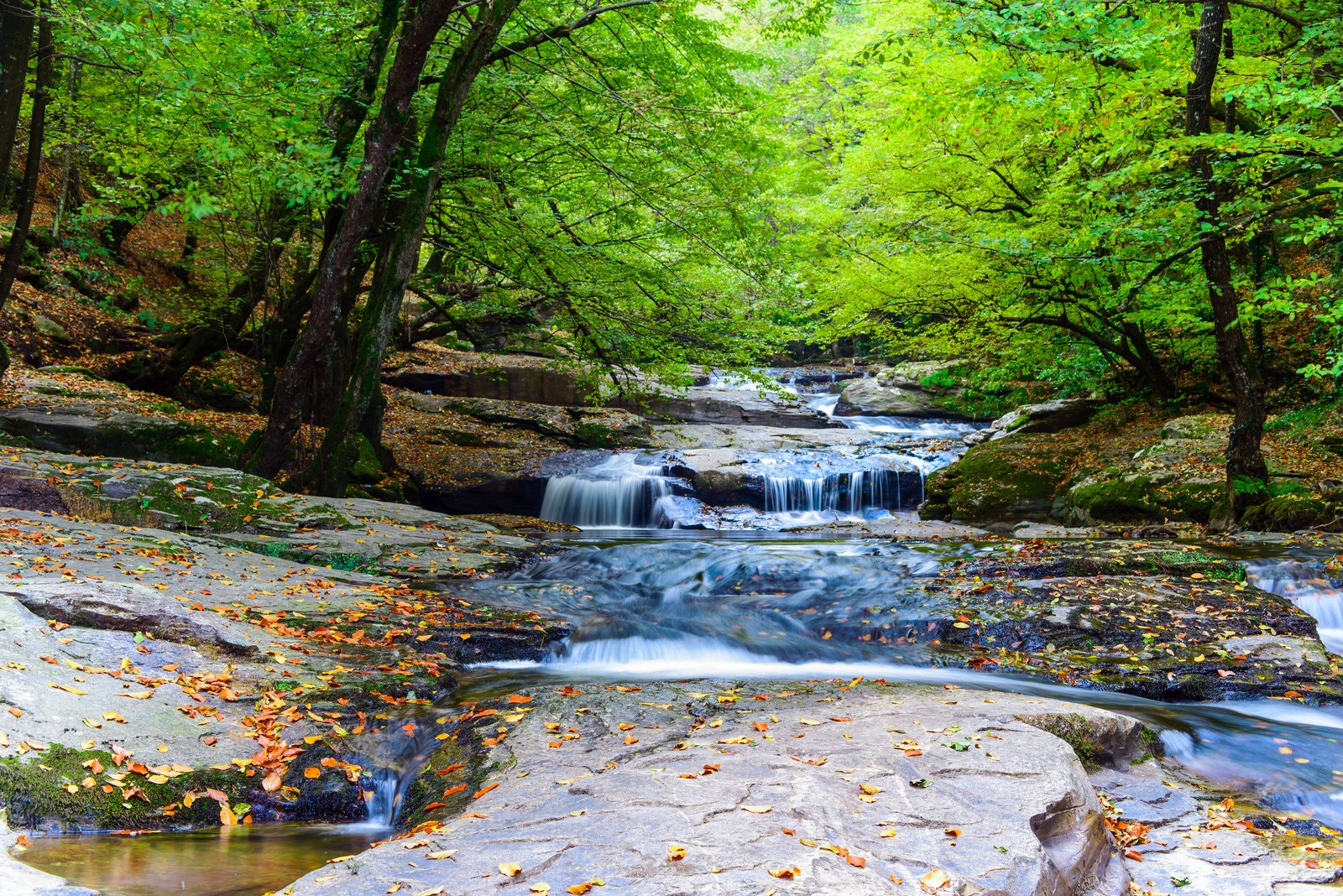 ZEISS Makro-Planar T* 50mm F2 sample photo. Waterfall photography