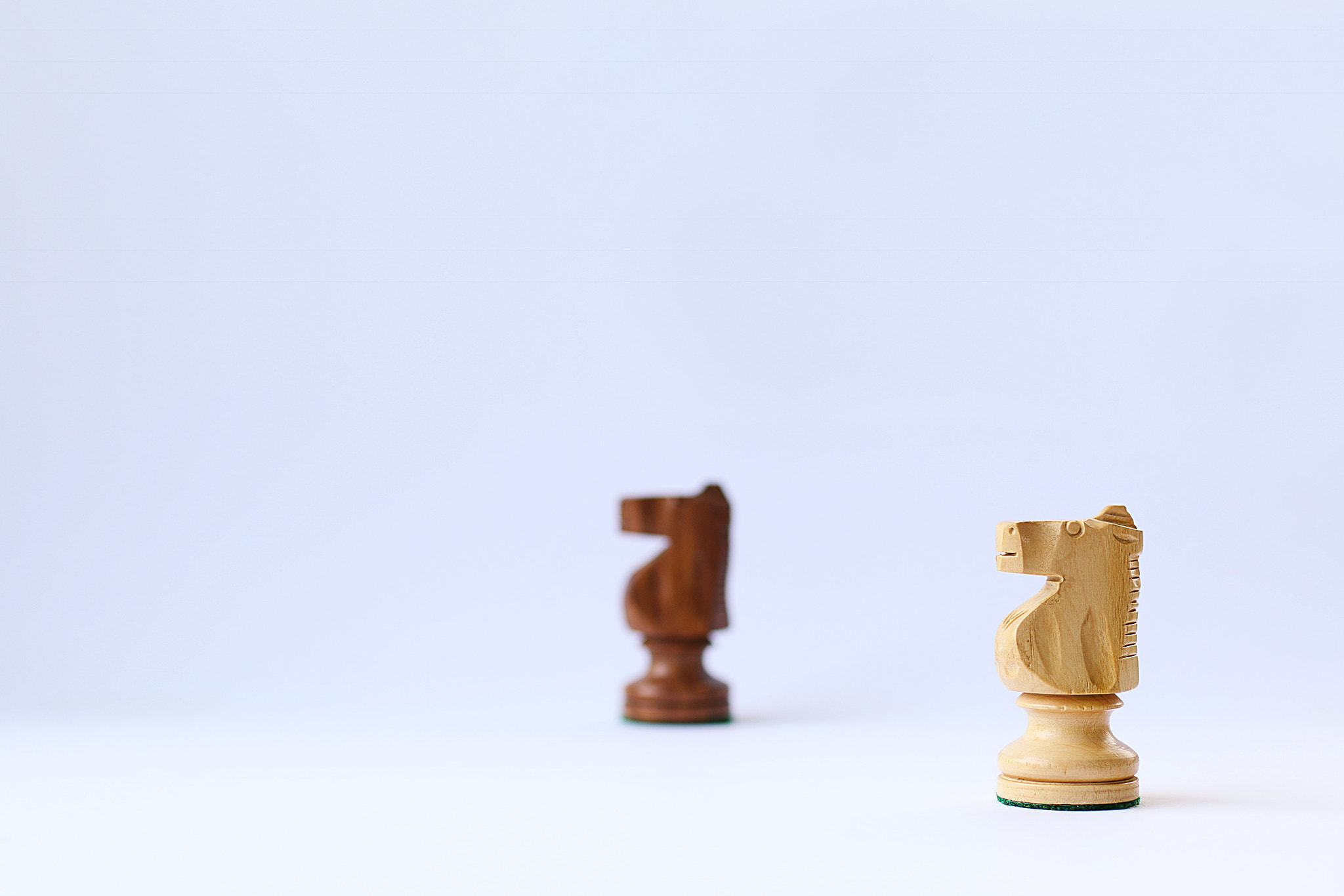 Canon EOS 70D + Canon EF 50mm F2.5 Macro sample photo. Playing chess photography