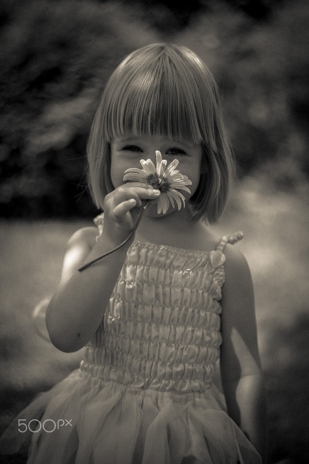 Canon EF 35-80mm f/4-5.6 sample photo. Jagi photography
