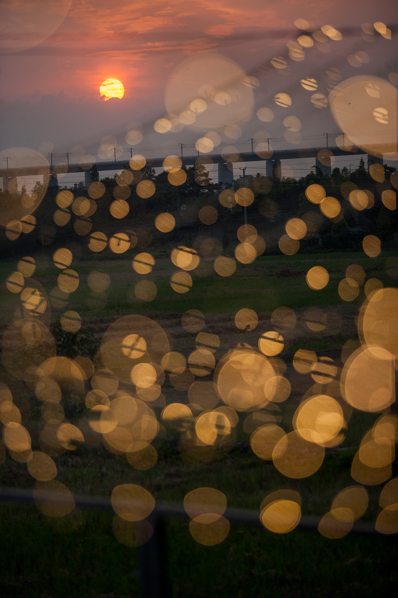 Canon EF 70-200mm F2.8L USM sample photo. Sunset photography