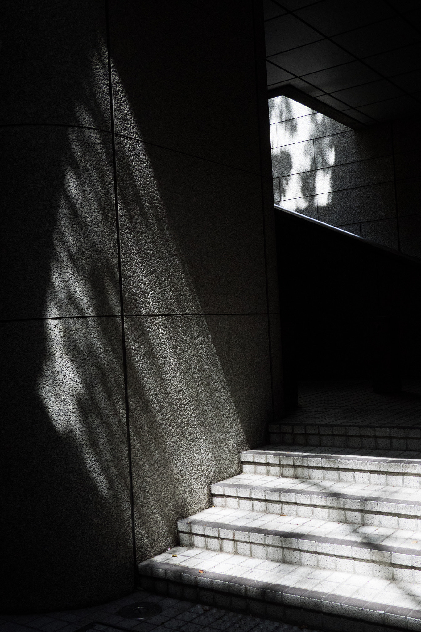 Olympus OM-D E-M1 + LUMIX G 20/F1.7 II sample photo. Stairs photography