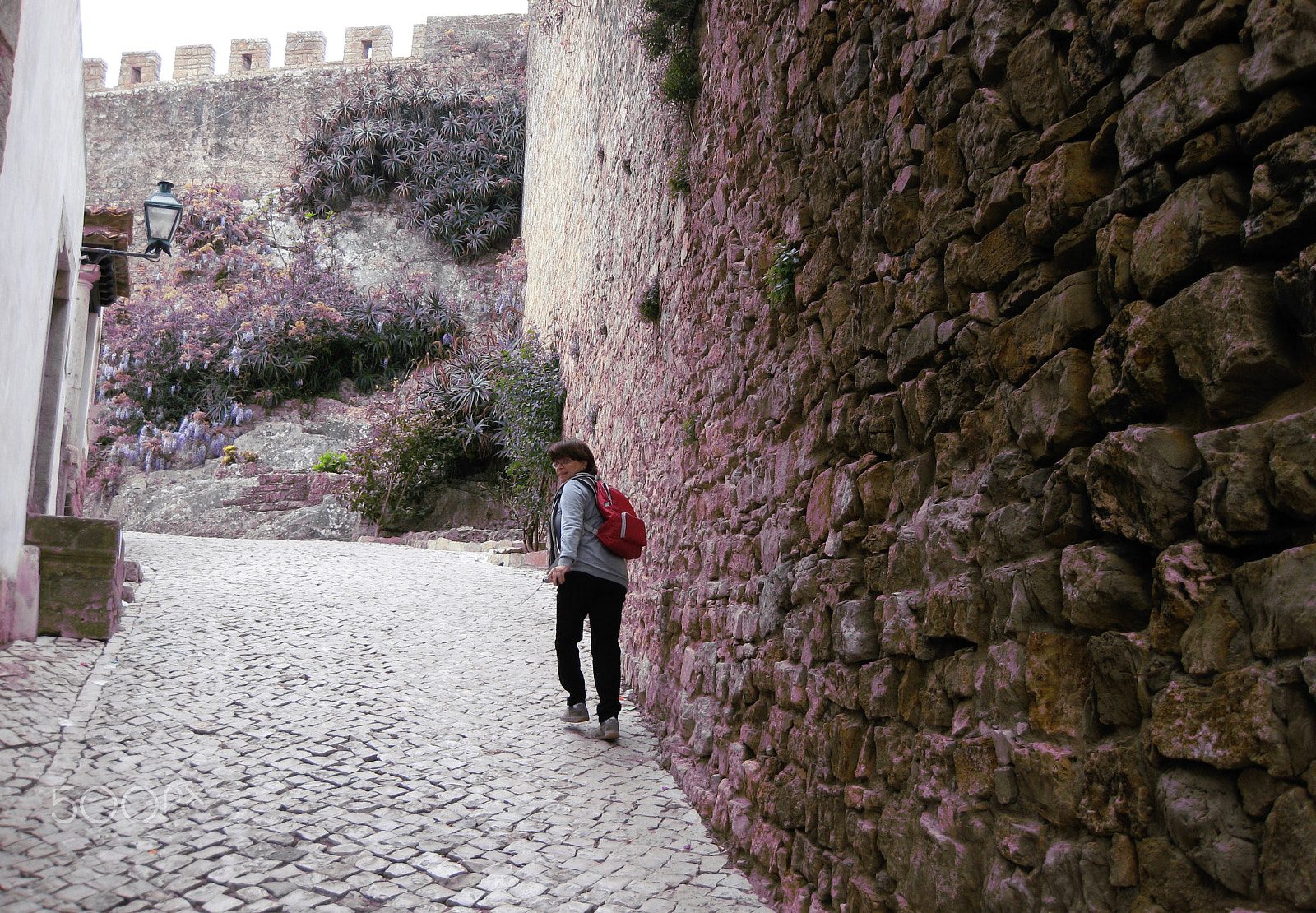 Canon PowerShot SD790 IS (Digital IXUS 90 IS / IXY Digital 95 IS) sample photo. Obidos photography