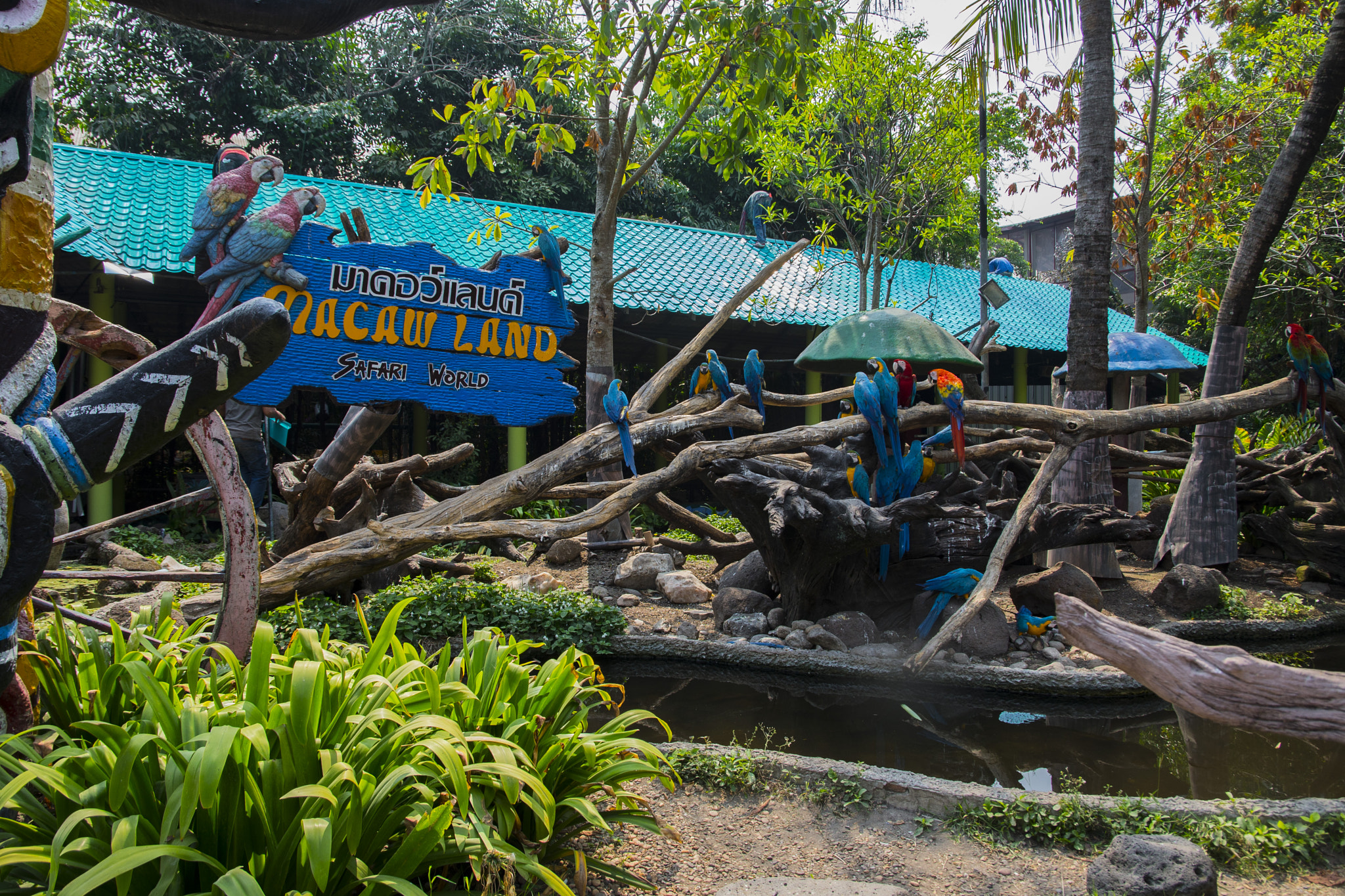 Nikon D600 sample photo. Safari world,bangkok photography