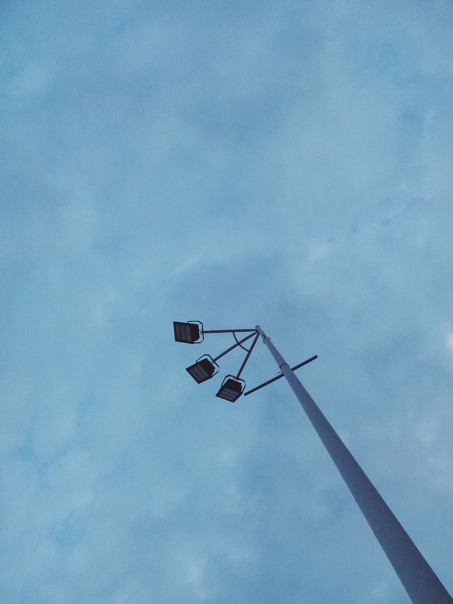 vivo Y17T sample photo. 英文白学了☹️ photography