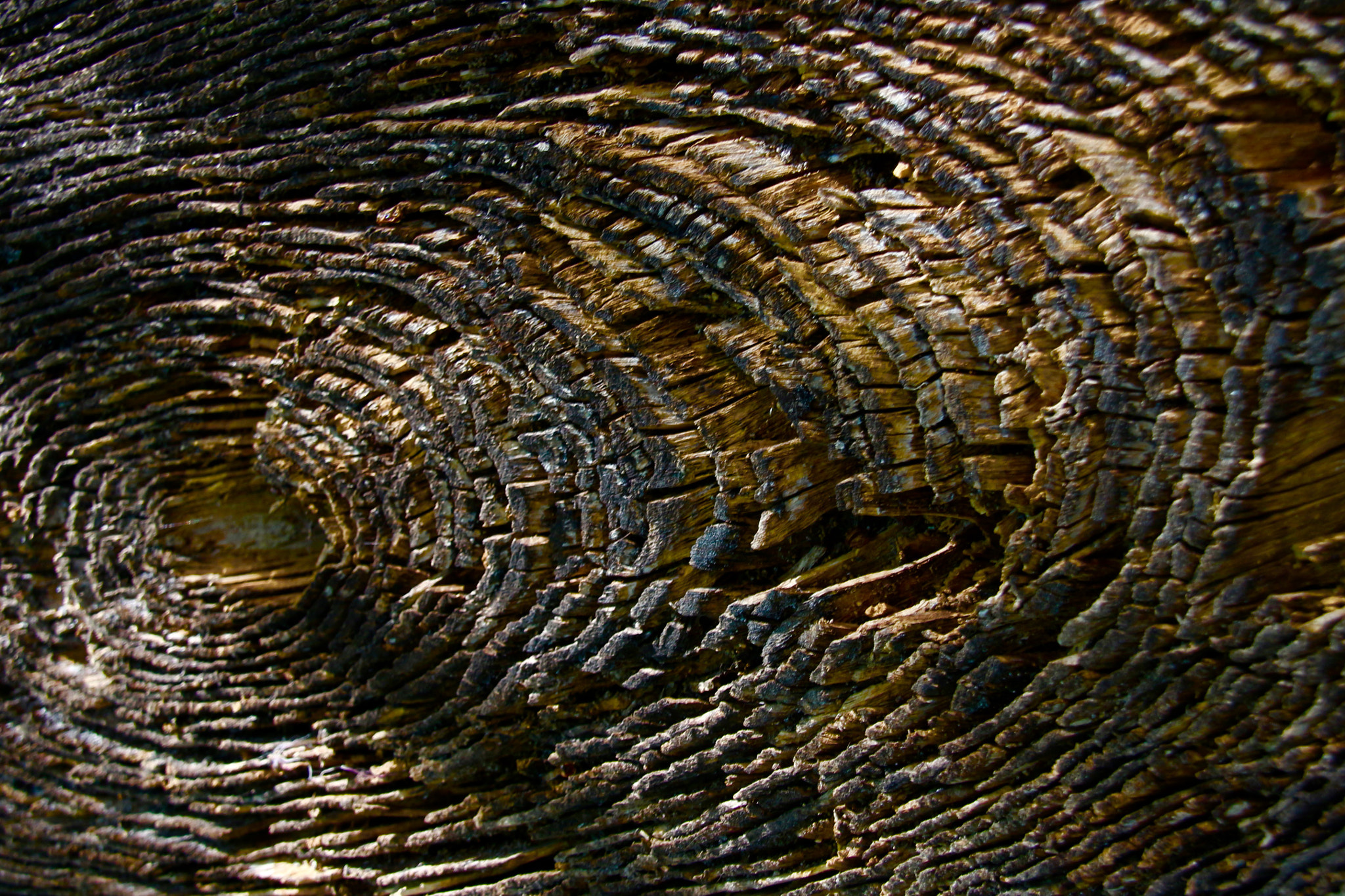 Canon 18-250mm sample photo