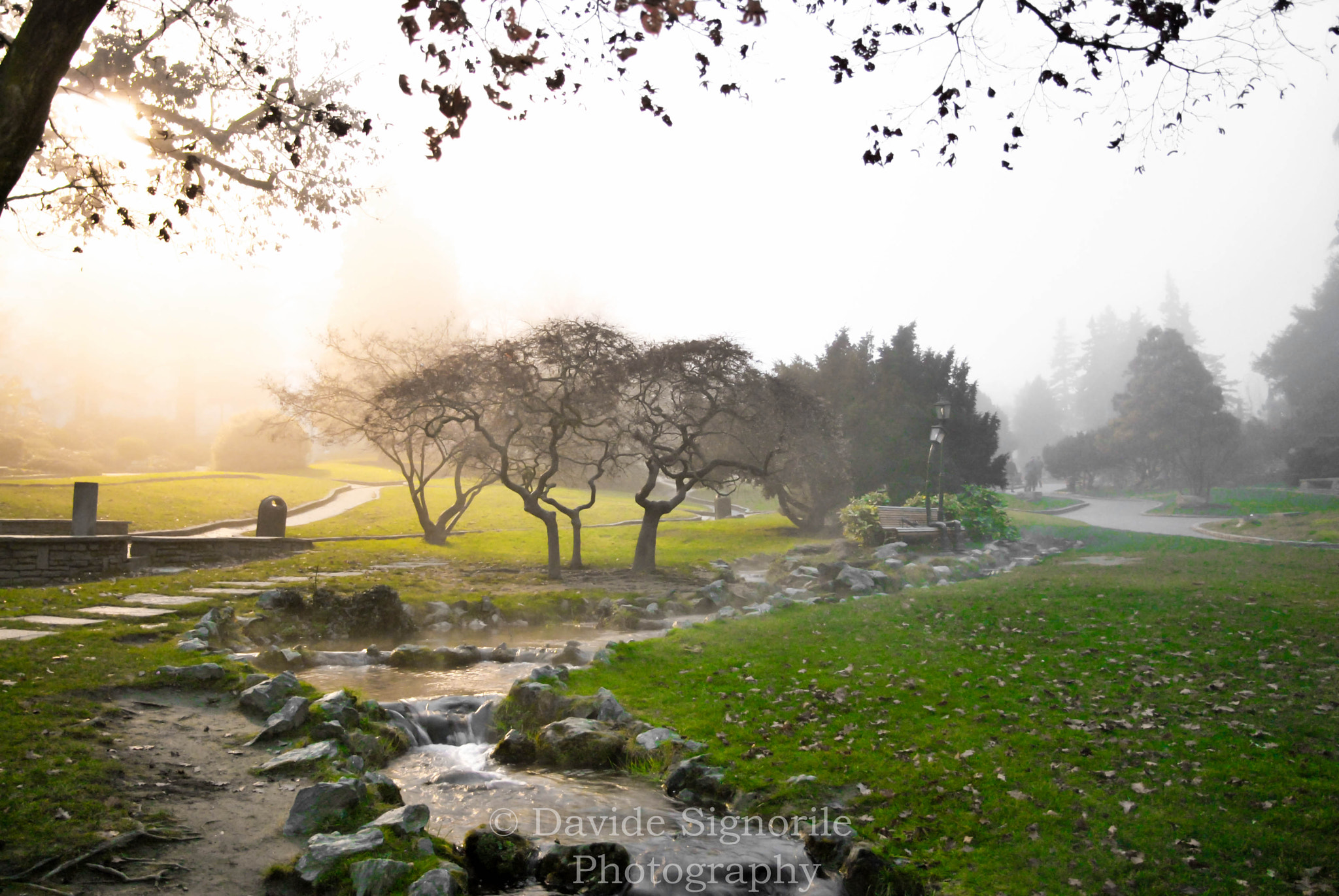 Nikon D60 sample photo. Park photography