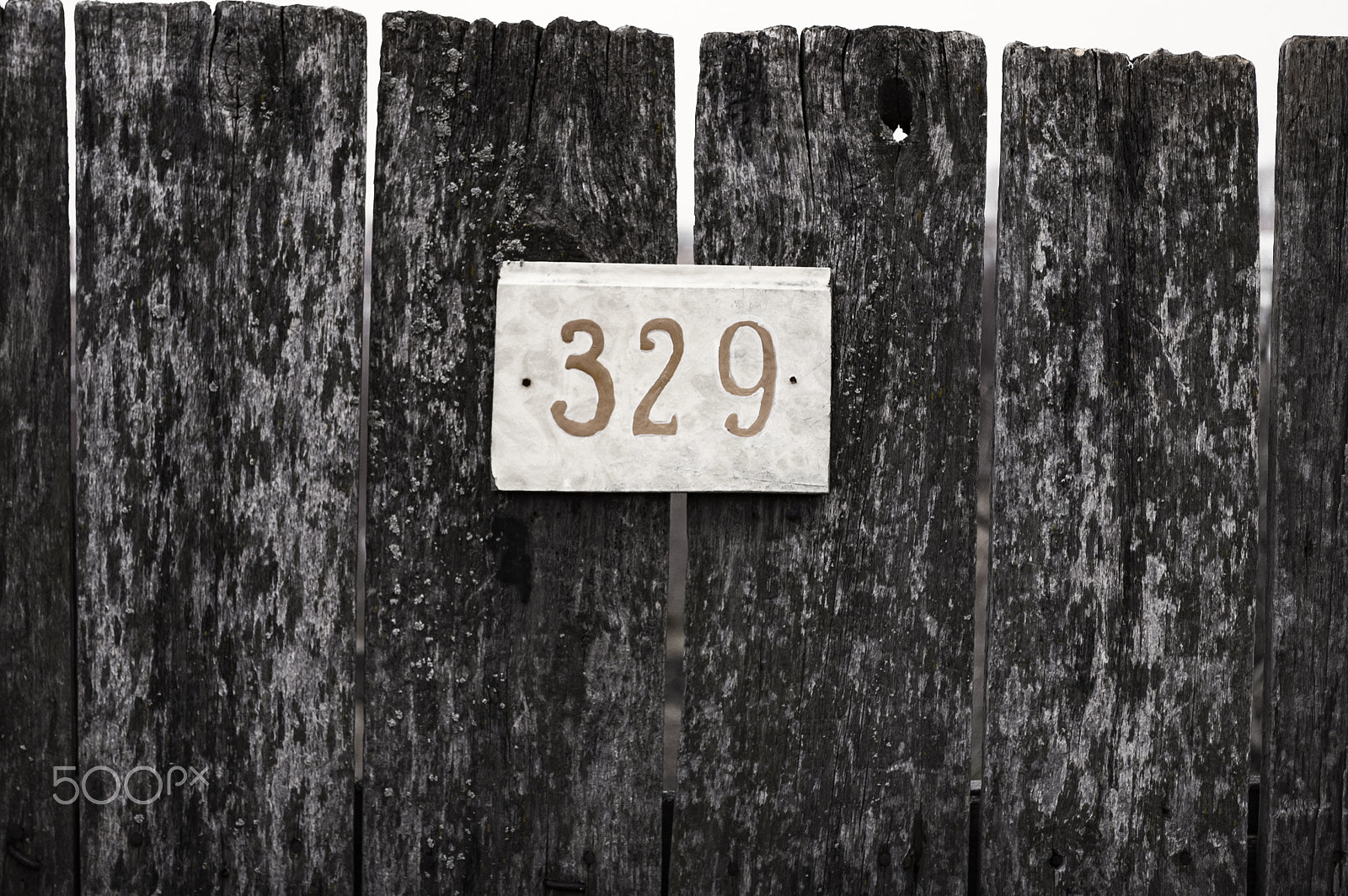Nikon D70 sample photo. Sign on the fence photography