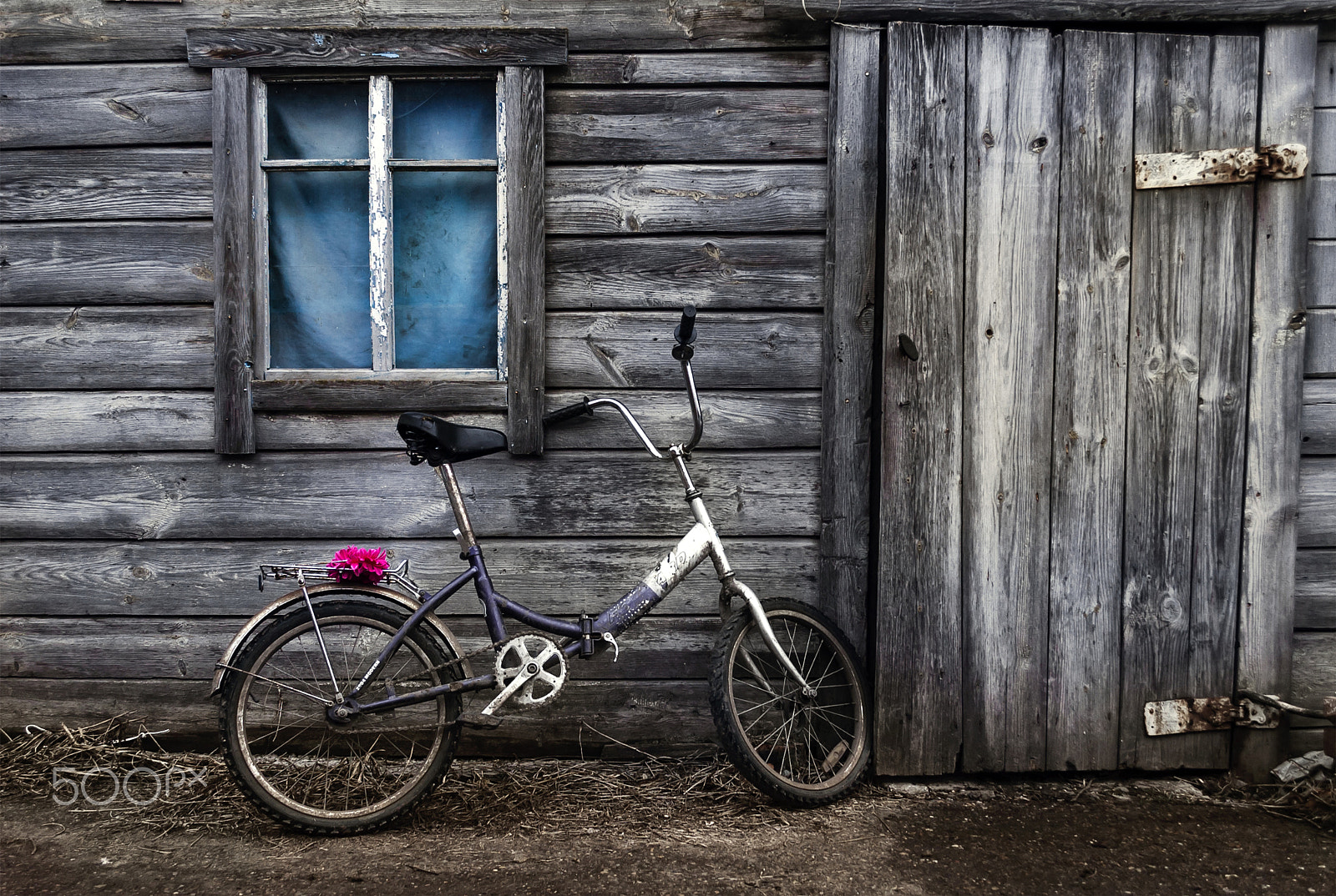 Nikon D70 sample photo. Rusty bike photography