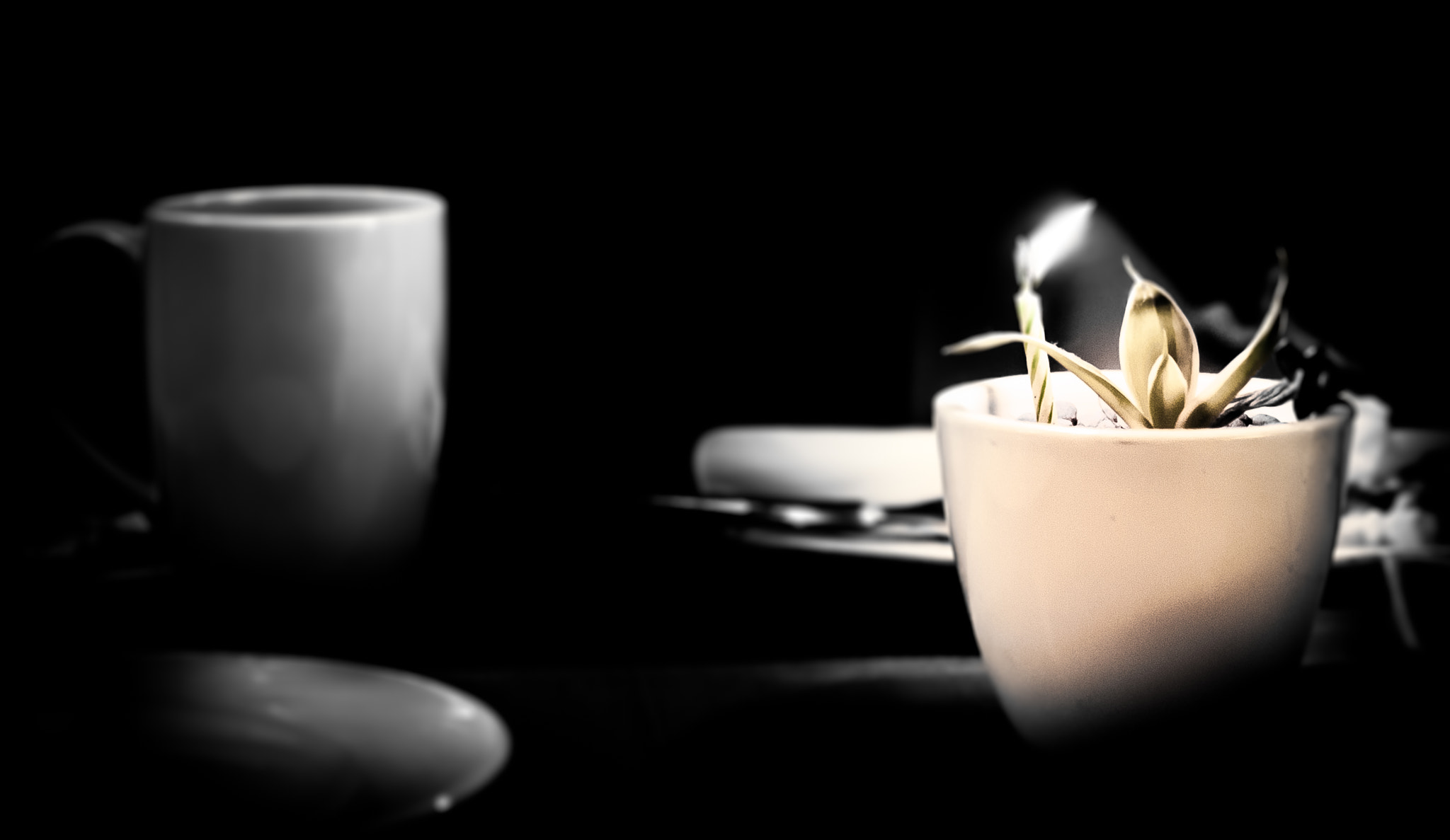 Nikon D300S sample photo. Candle light dinner photography