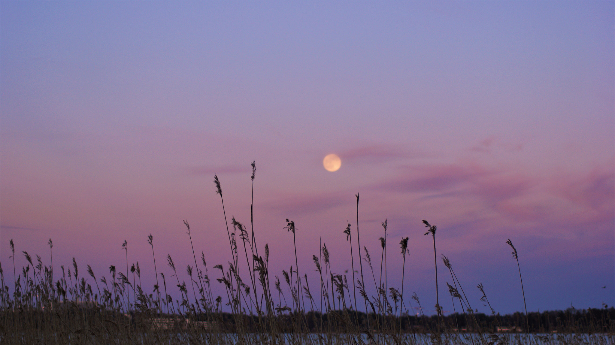 Sony Alpha DSLR-A350 + Tamron Lens (255) sample photo. Purple sky photography