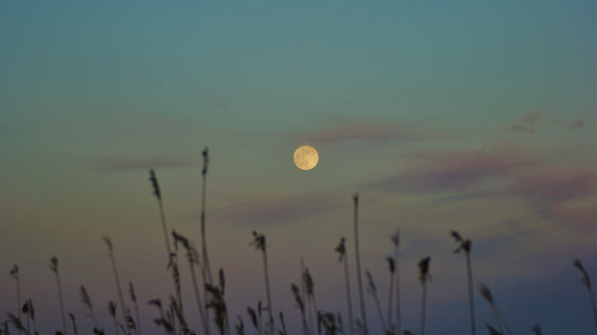 Sony Alpha DSLR-A350 + Tamron Lens (255) sample photo. Perplex sky photography