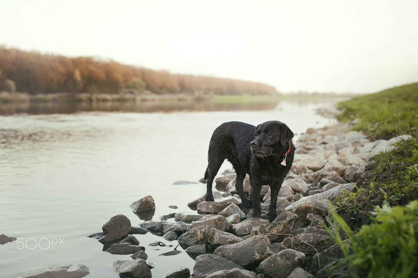 Nikon D3 + Sigma 50mm F1.4 EX DG HSM sample photo. Look over the river photography