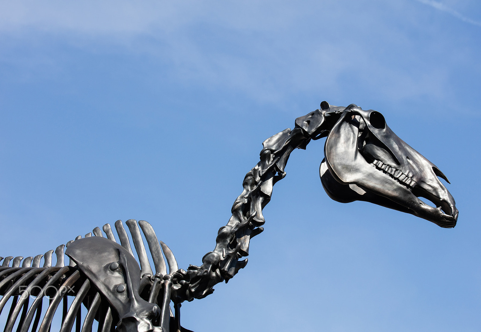 Canon EOS 5DS + Canon EF 100-400mm F4.5-5.6L IS II USM sample photo. Dinosaur sculpture photography