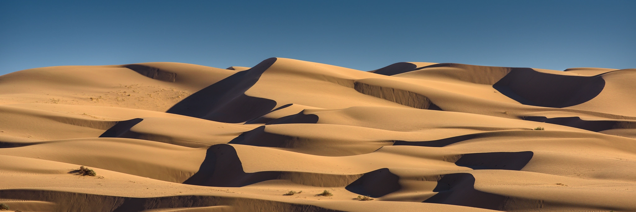 ZEISS Apo Sonnar T* 135mm F2 sample photo. Algodones dunes photography