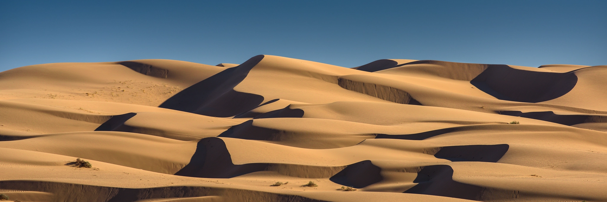 Nikon D810 + ZEISS Apo Sonnar T* 135mm F2 sample photo. Algodones dunes photography